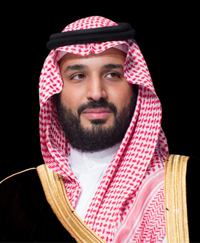 Prince Mohammad bin Salman bin Abdulaziz Al-Saud, Crown Prince 